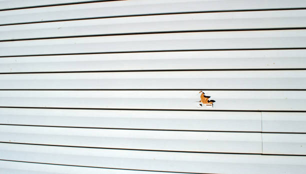 Best Weatherproofing and Sealing  in North Arlington, NJ
