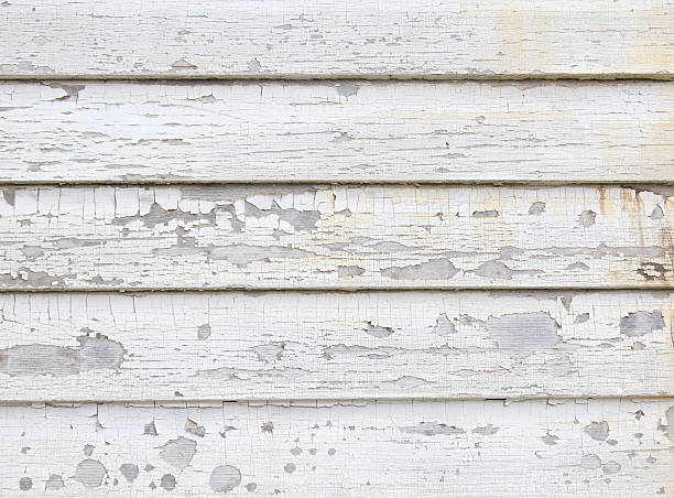 Best Siding Painting and Refinishing  in North Arlington, NJ